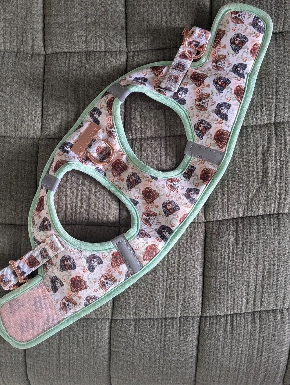 NWOT Cavology Step In Harness